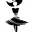 miraisles.it favicon